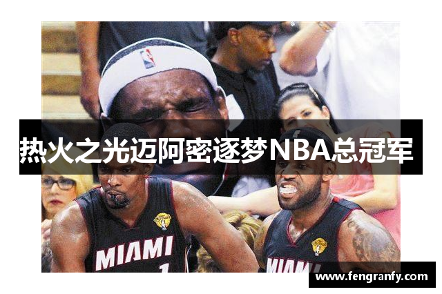 热火之光迈阿密逐梦NBA总冠军 