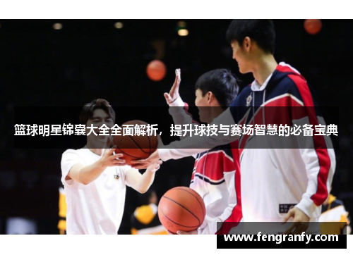 篮球明星锦囊大全全面解析，提升球技与赛场智慧的必备宝典